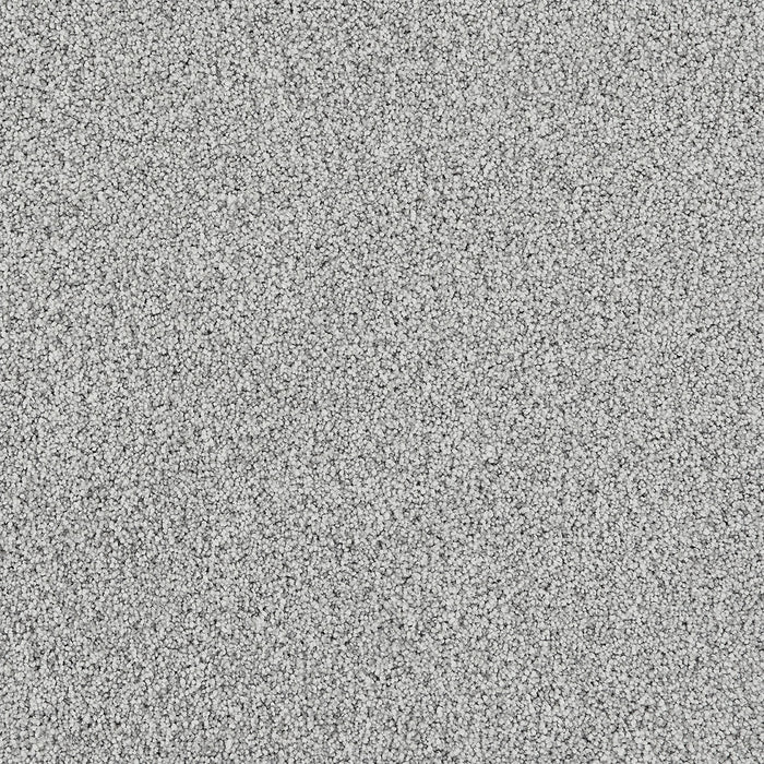 Affinity III Polyester Soft Petal 5005 Carpet Textured 1