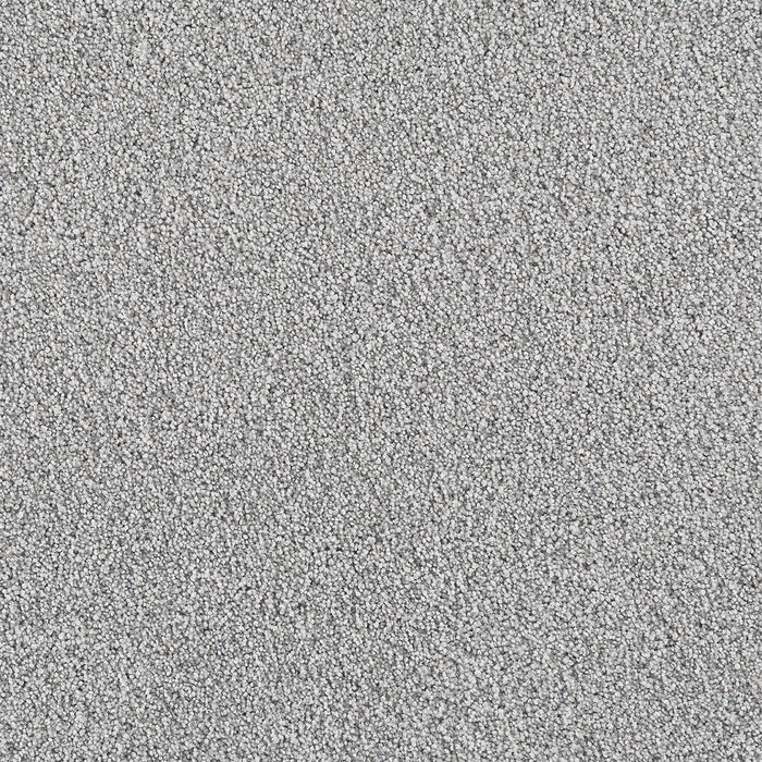 Affinity I Polyester Day Dream 5224 Carpet Textured 1
