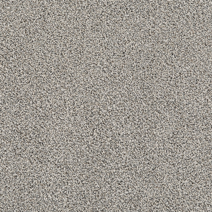 Affinity II Polyester Meadow 5328 Carpet Textured 1