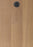 Genoa Wood Golden Caramel Engineered Hardwood Wire Brushed 1
