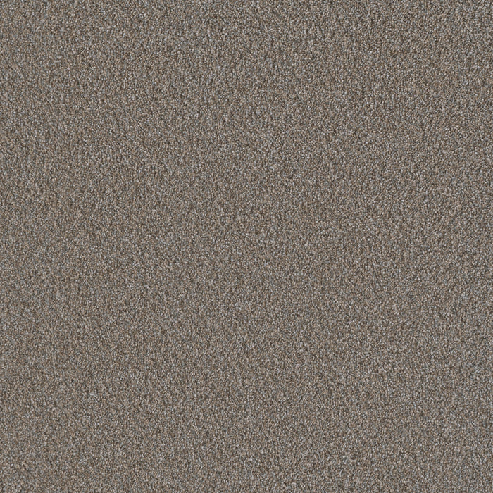 Metropolis I Polyester Butter Pecan 136 Carpet Textured 1