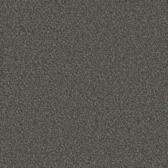 Metropolis II Polyester Legacy 157 Carpet Textured 1