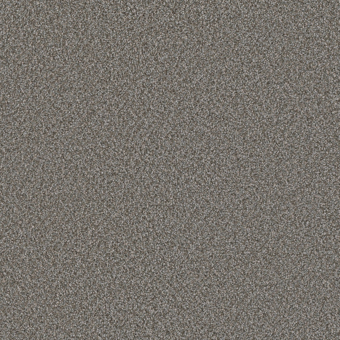 Metropolis I Polyester Sweet Meadow 173 Carpet Textured 1