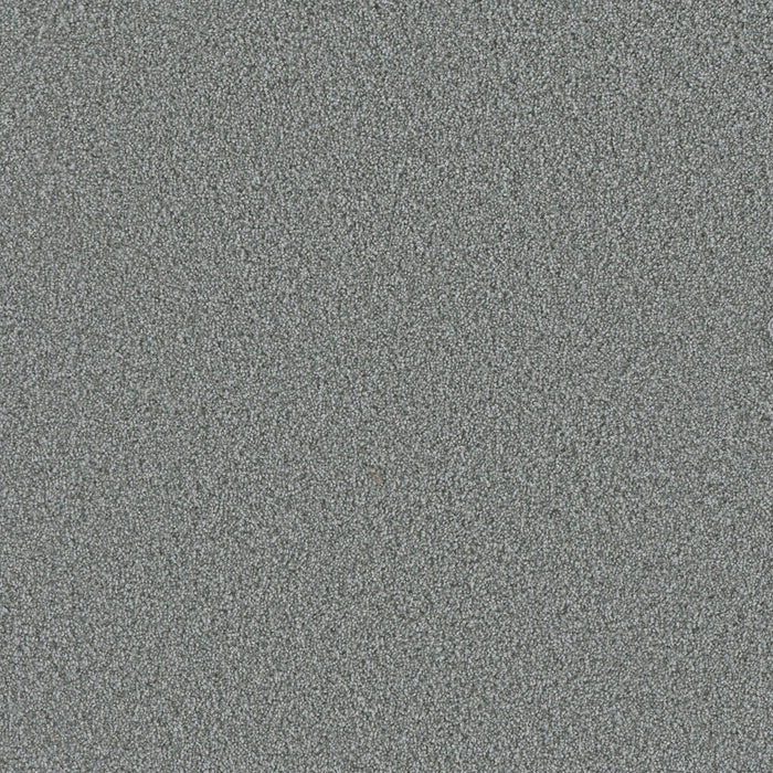 Metropolis I Polyester Winter Bliss 202 Carpet Textured 1