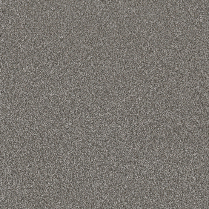 Metropolis II Polyester Heaven Sent 210 Carpet Textured 1