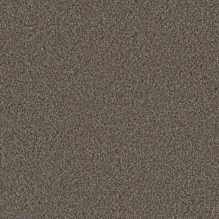 Metropolis I Polyester Carmel 240 Carpet Textured 1