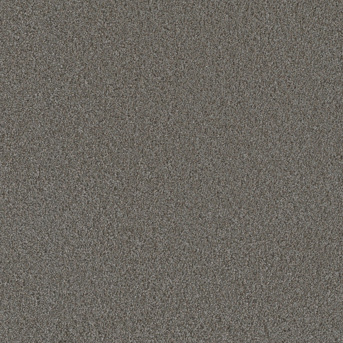 Metropolis II Polyester Luminous 260 Carpet Textured 1