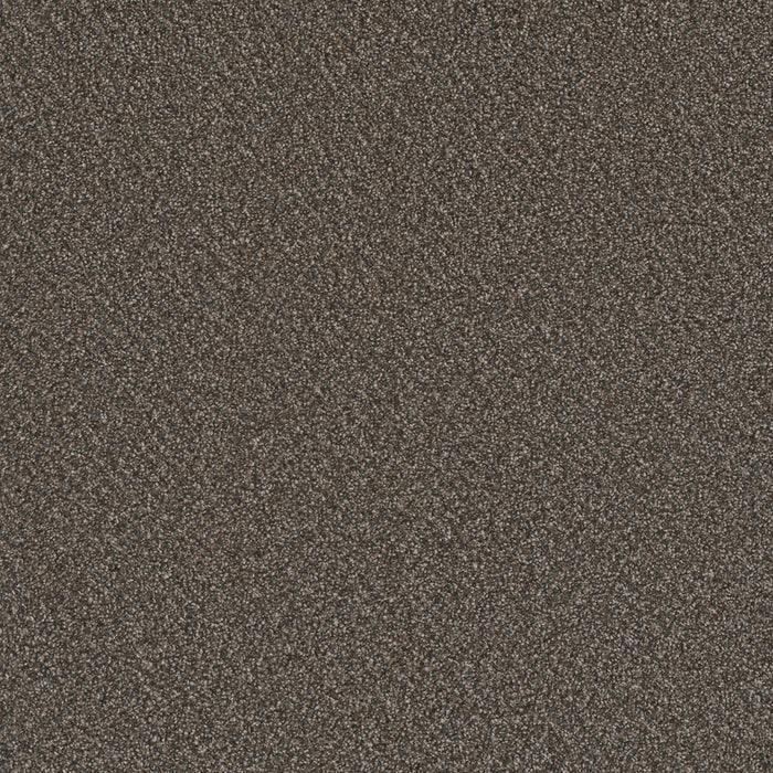 Metropolis III Polyester Woodland 370 Carpet Textured 1
