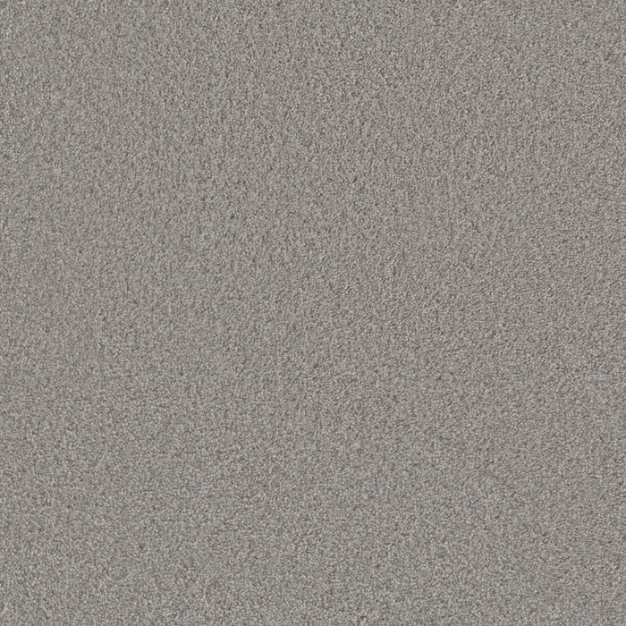 Metropolis I Polyester French Lace 408 Carpet Textured 1