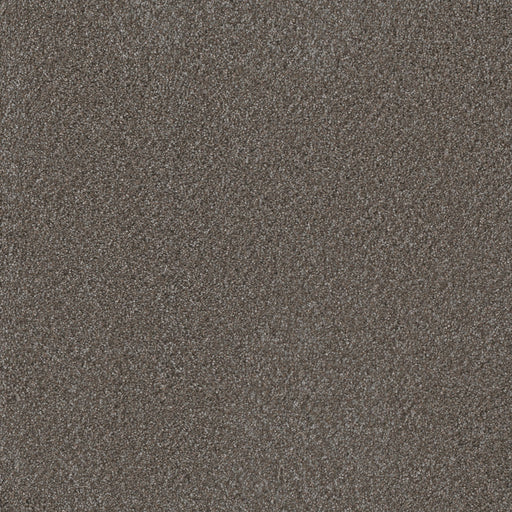 DreamWeaver Meteoric 2270 Capricorn Loop Polyester Carpet — Stone
