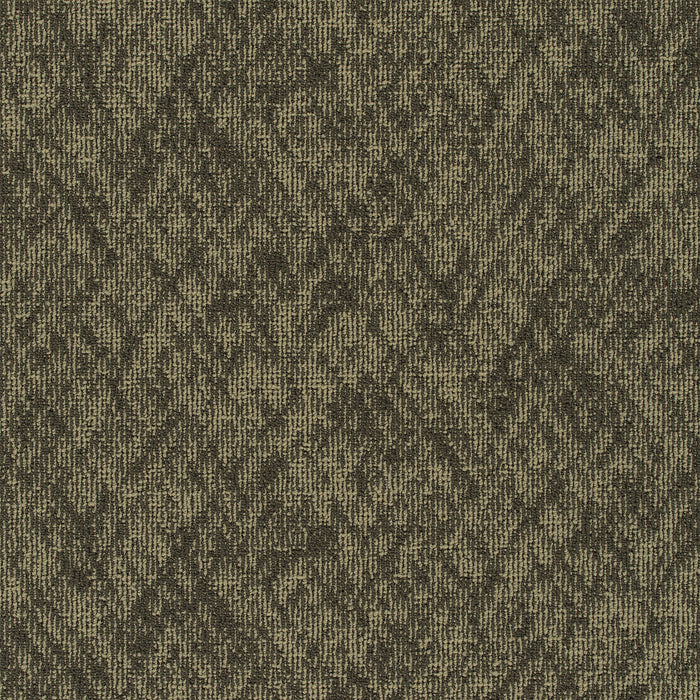 Homepage APEX SDP Polyester Cookies 3542 Carpet Pattern 1