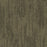 Podcast® APEX SDP Polyester Cookies 3542 Carpet Pattern 1
