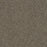 Mirage II Polyester Baseline 2248 Carpet Textured 1