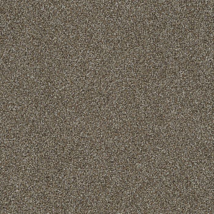 Mirage III Polyester Baseline 2248 Carpet Textured 1