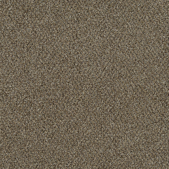 Mirage I Polyester Prescott 5202 Carpet Textured 1