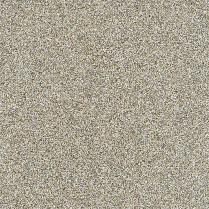 Mirage I Polyester Sugarland 4102 Carpet Textured 1