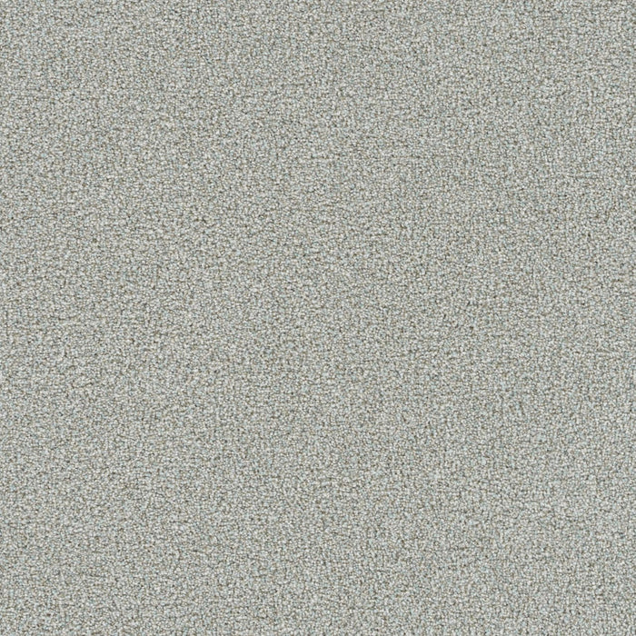 Mirage I Polyester Alpha 4111 Carpet Textured 1