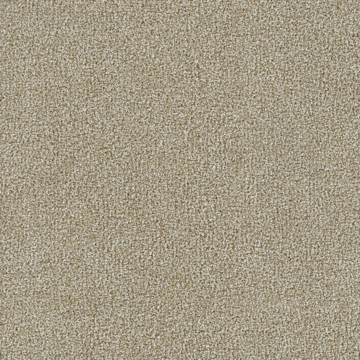 Mirage III Polyester Anvers 4235 Carpet Textured 1
