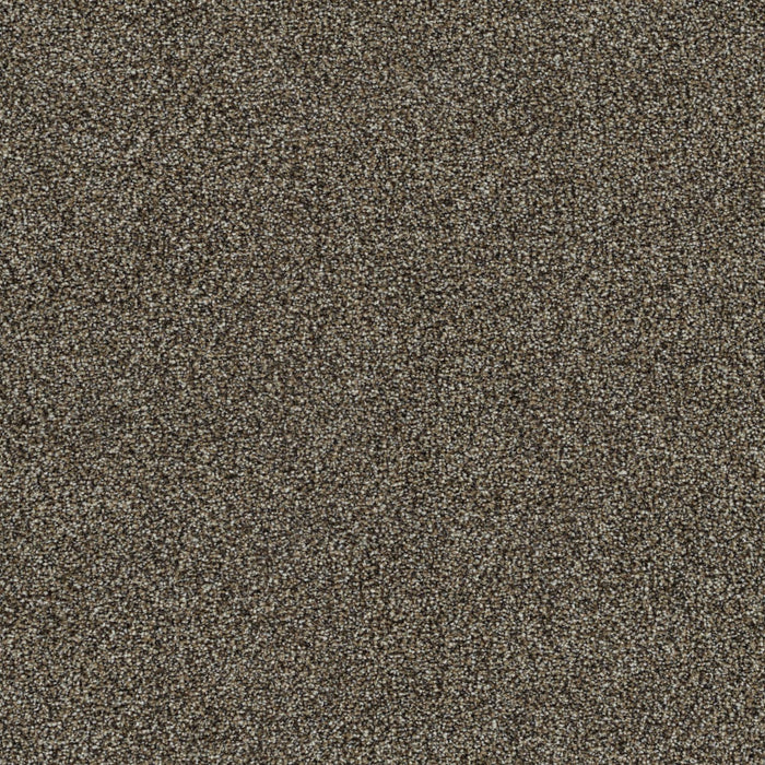 Mirage III Polyester Fortuna 4731 Carpet Textured 1