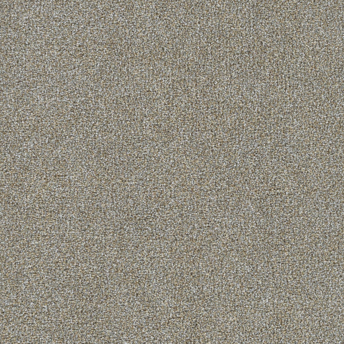 Mirage III Polyester Armando 4915 Carpet Textured 1