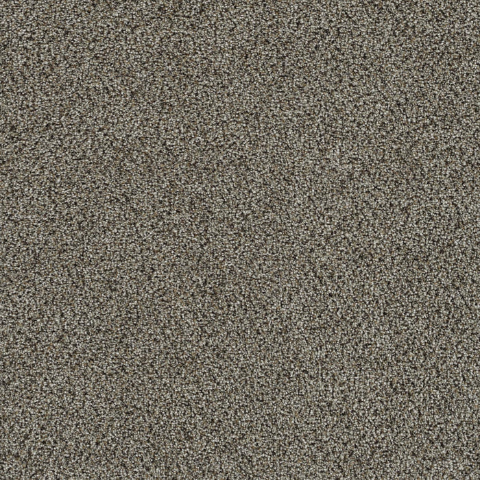 Mirage I Polyester Boardwalk 4963 Carpet Textured 1