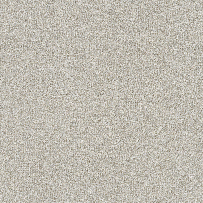 Mirage III Polyester Bravo 4992 Carpet Textured 1