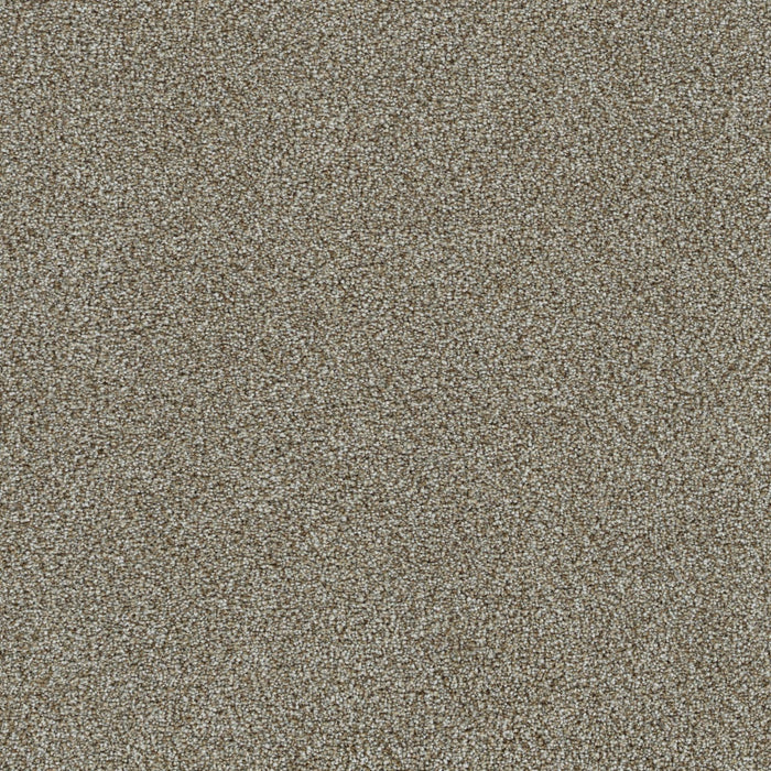 Mirage I Polyester Bold Nature 5036 Carpet Textured 1