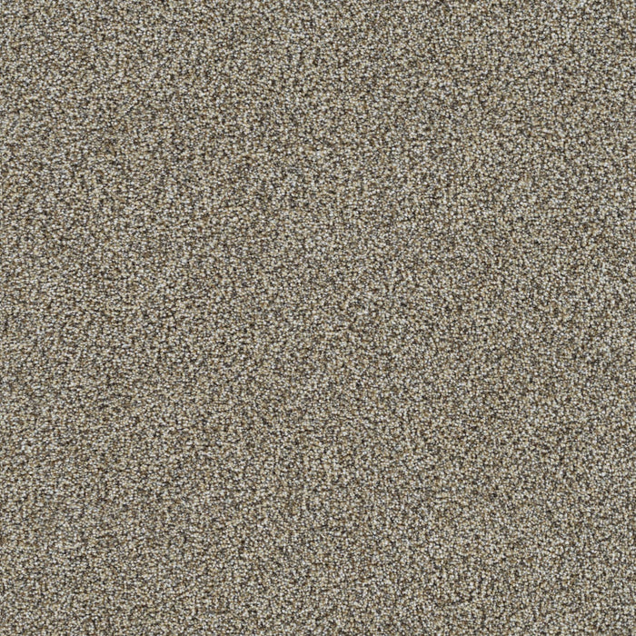 Mirage II Polyester Amherst 5114 Carpet Textured 1