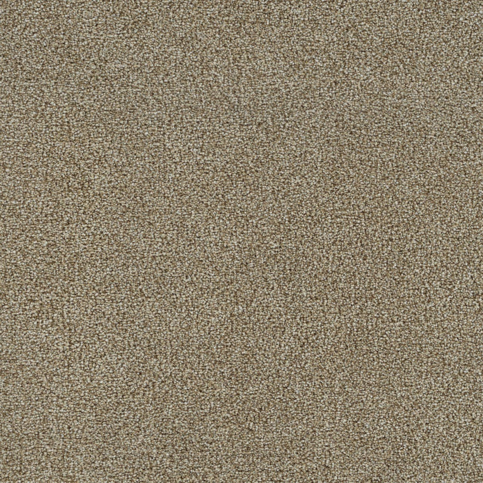 Mirage III Polyester Butterscotch 5288 Carpet Textured 1