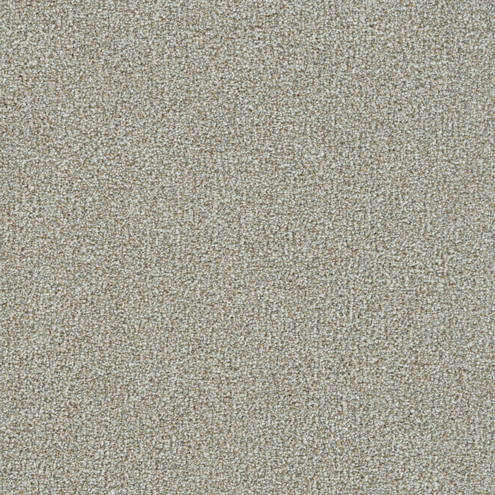 Mirage I Polyester Tortola 5320 Carpet Textured 1