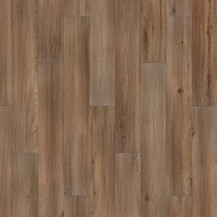 Whitmore Terrace 4.5 Vinyl Baxter 845 Vinyl Plank Embossed 1