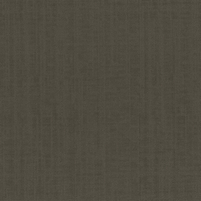 Omnia Broadloom APEX SDP Polyester Certainty 3388 Carpet Loop 1