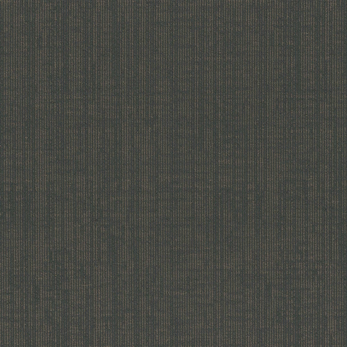 Omnia Broadloom APEX SDP Polyester Matter of Fact 3389 Carpet Loop 1