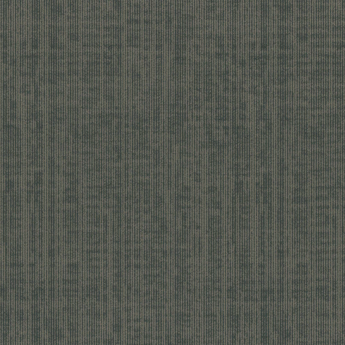 Omnia Broadloom APEX SDP Polyester Cold Hard Facts 3390 Carpet Loop 1