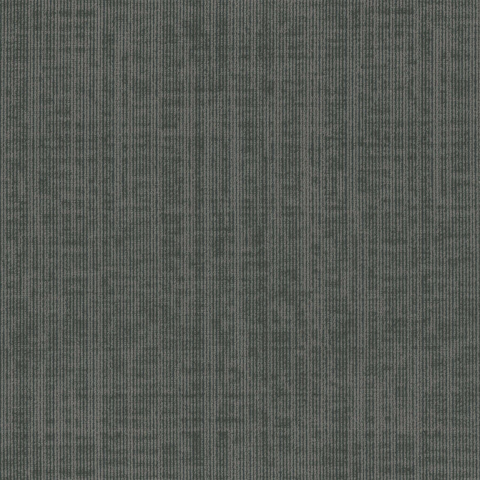 Omnia Broadloom APEX SDP Polyester Done Deal 3391 Carpet Loop 1