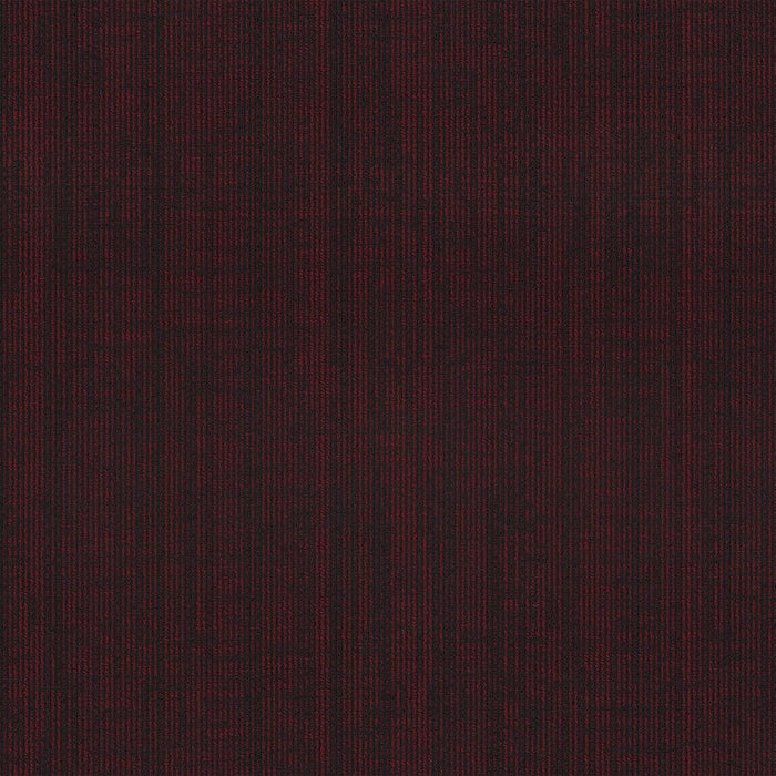 Omnia Broadloom APEX SDP Polyester Fact of Life 3392 Carpet Loop 1