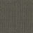 Omnia Broadloom APEX SDP Polyester Shoo-In 3396 Carpet Loop 1
