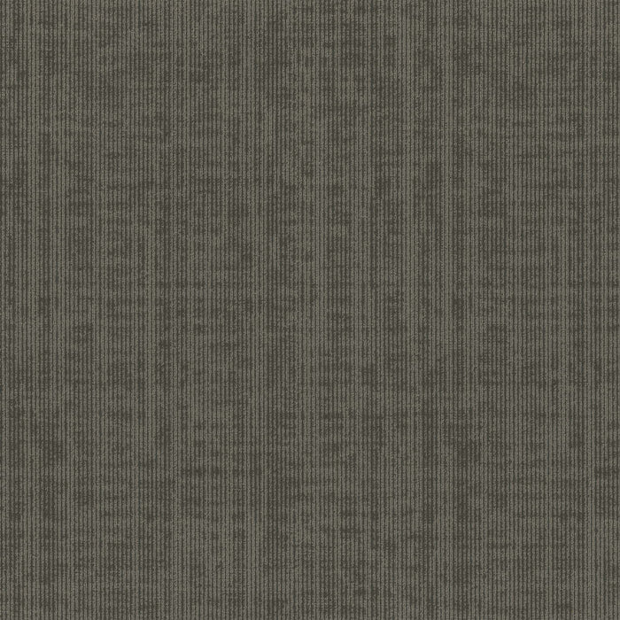 Omnia Broadloom APEX SDP Polyester Shoo-In 3396 Carpet Loop 1