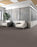 Omnia Broadloom APEX SDP Polyester Certainty 3388 Carpet Loop 2