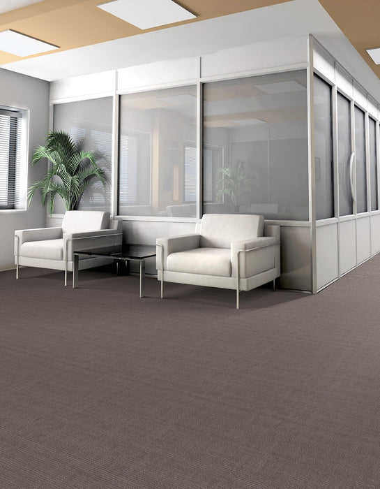 Omnia Broadloom APEX SDP Polyester Certainty 3388 Carpet Loop 2