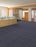 Omnia Broadloom APEX SDP Polyester Sure Thing 3393 Carpet Loop 2