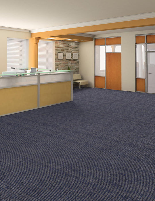 Omnia Broadloom APEX SDP Polyester Sure Thing 3393 Carpet Loop 2
