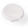 Modern Standards Zinc Alloy Cabinet Knob White 1