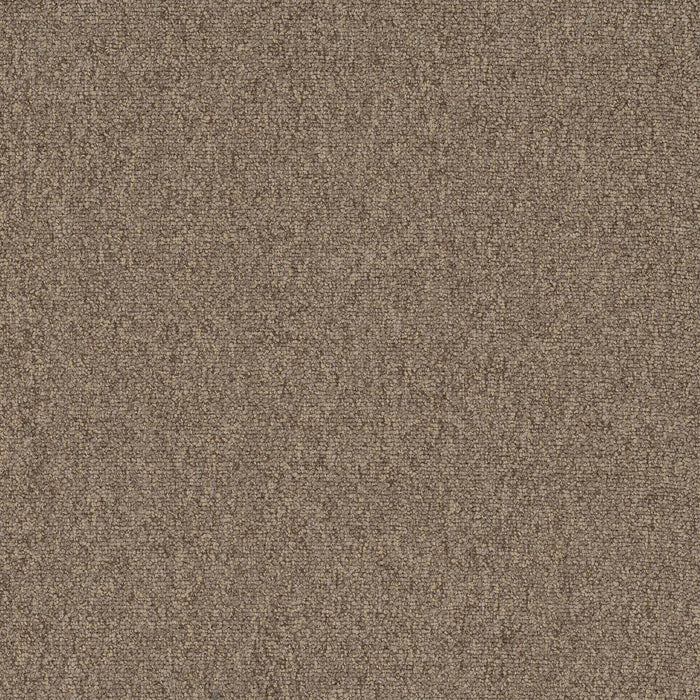 Diversified Nylon Muddled 2043 Carpet Tile Textured 1