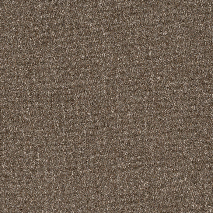 Diversified Nylon Varied 2044 Carpet Tile Textured 1