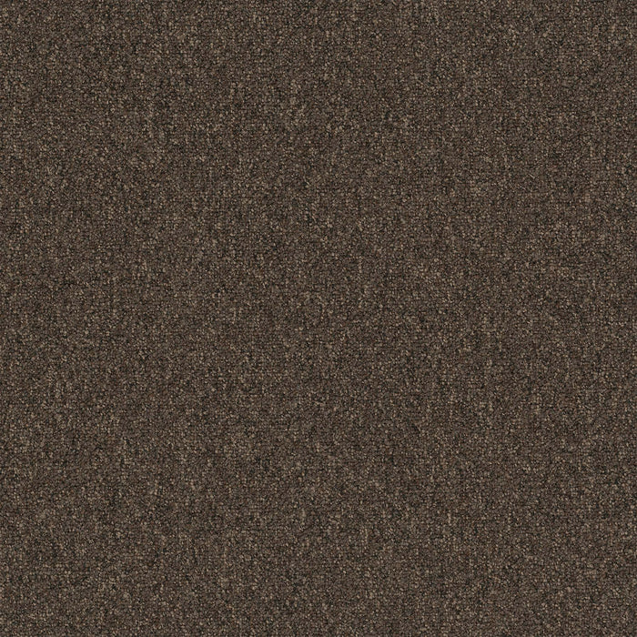 Diversified Nylon Bizarre 2050 Carpet Tile Textured 1