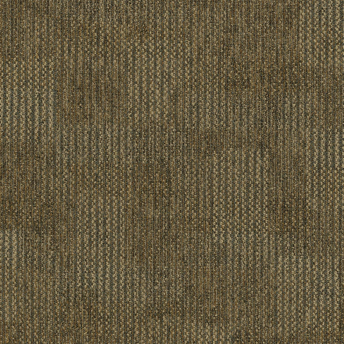 Revolution Polyester Transformation 1813 Carpet Tile Loop 1