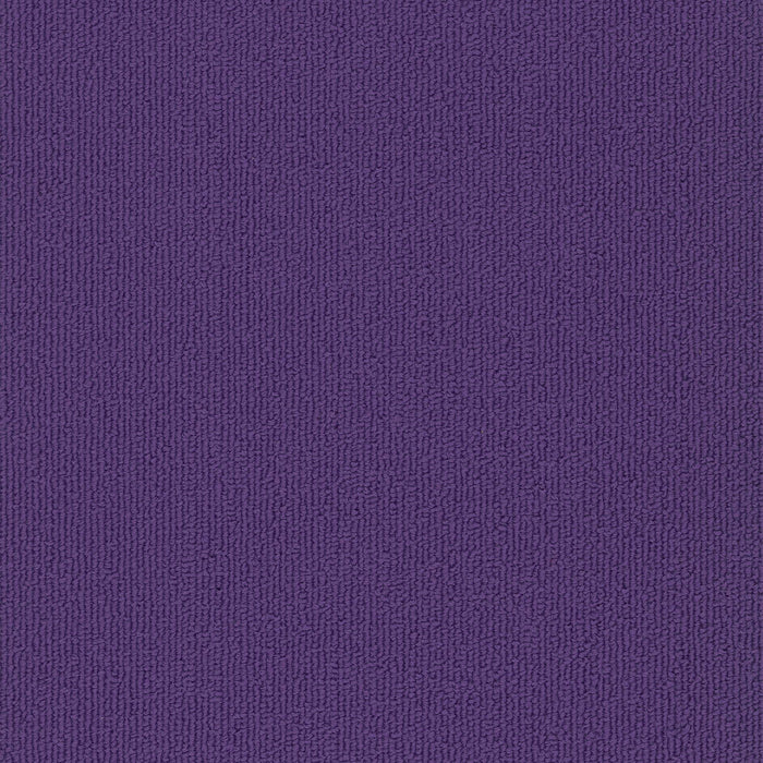 Colorburst Nylon Royal Purple 3136 Carpet Tile Loop 2