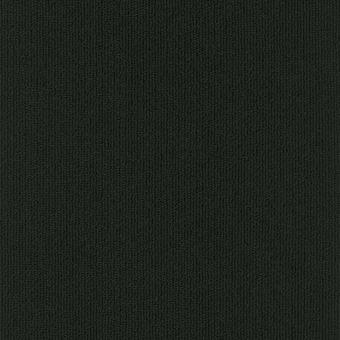 Colorburst Nylon Midnight 3137 Carpet Tile Loop 2