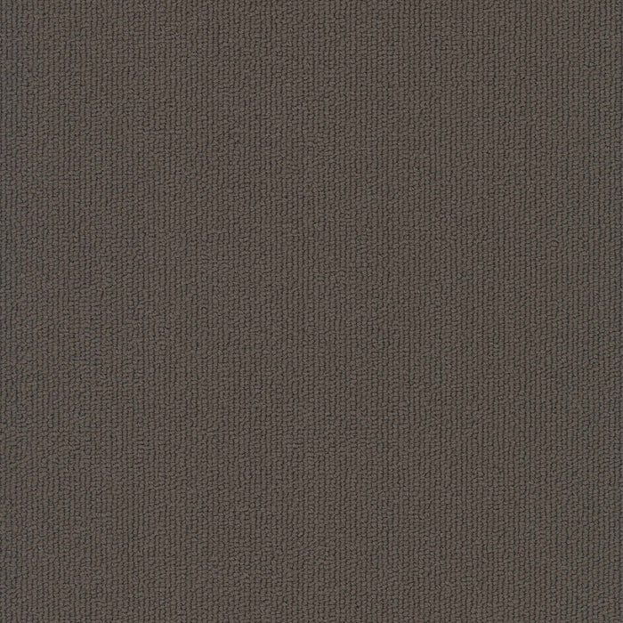 Colorburst Nylon Carob 3140 Carpet Tile Loop 2